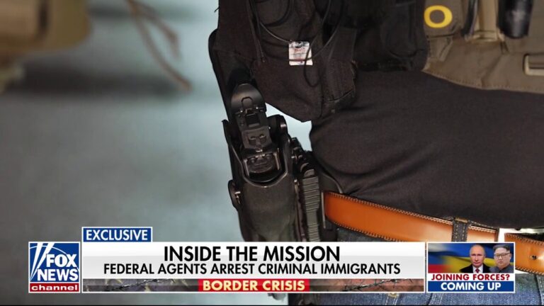 Criminal immigrants are arrested by federal agents