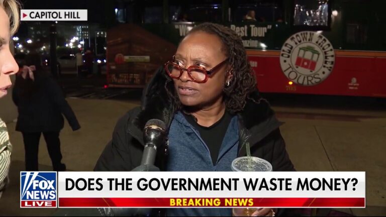 Americans weigh in on government waste