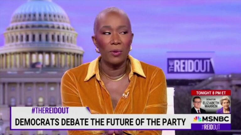 MSNBC's Joy Reid calls out Democratic Party for being run like a 'gerontrocracy' of consultants and donors