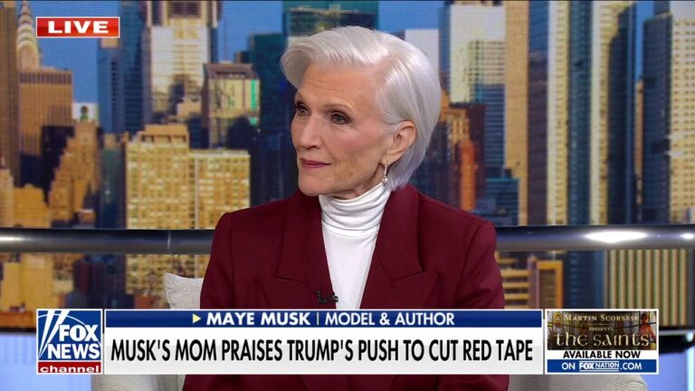 Maye Musk applauds Democrats for considering joining DOGE caucus: 'Can't believe this'