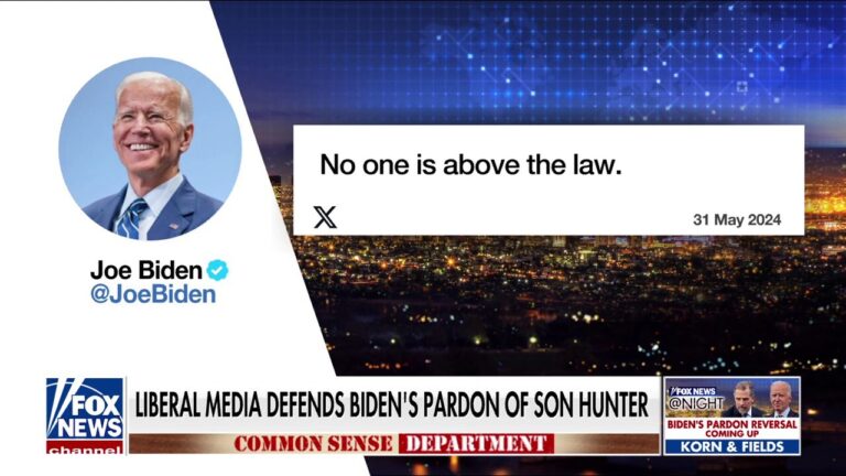 'Common Sense': Hunter Biden is above the law