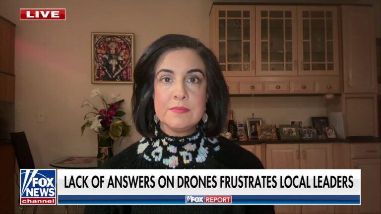 Rep. Malliotakis suggests source of drone activity is US government