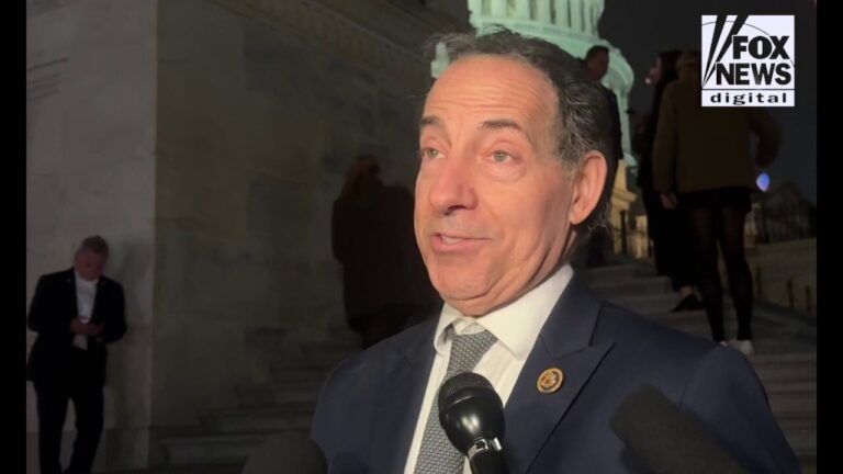 Rep. Raskin says Musk 'derailed the Congress' for 48 hours with a single tweet