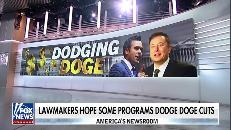 Lawmakers hope some programs 'dodge' DOGE cuts