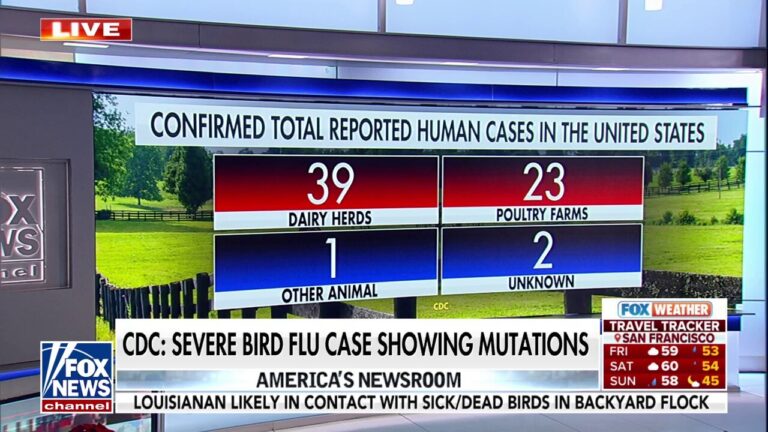 CDC warns bird flu virus showing mutations in severe cases