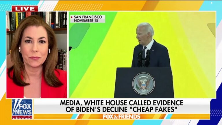 Tammy Bruce rips media for 'manipulation, gaslighting' on Biden's cognitive decline