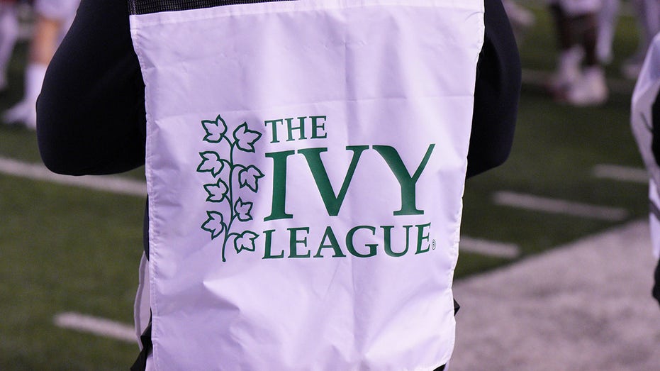 Report highlights prevalence of DEI at Ivy League institutions: 'Dominant ideology'