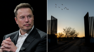 DOGE chief Musk bashes massive government spending on illegal immigrants: ‘Boggles the mind!’