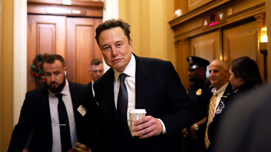 'We're going to gut the fish': Republicans give details from closed-door meetings with DOGE's Musk, Ramaswamy