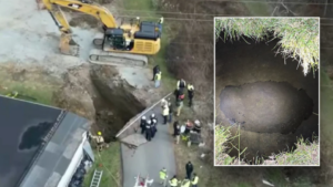 Missing grandma believed to have fallen in sinkhole while searching for lost cat: 'Never came back'