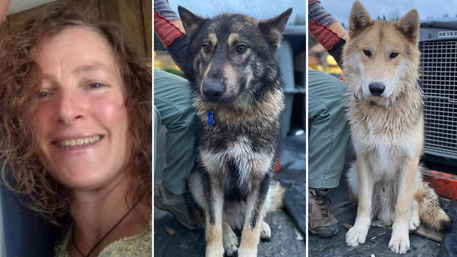 Estranged husband arrested for murder after missing hiker found dead along with dogs: ‘Afraid for her life'