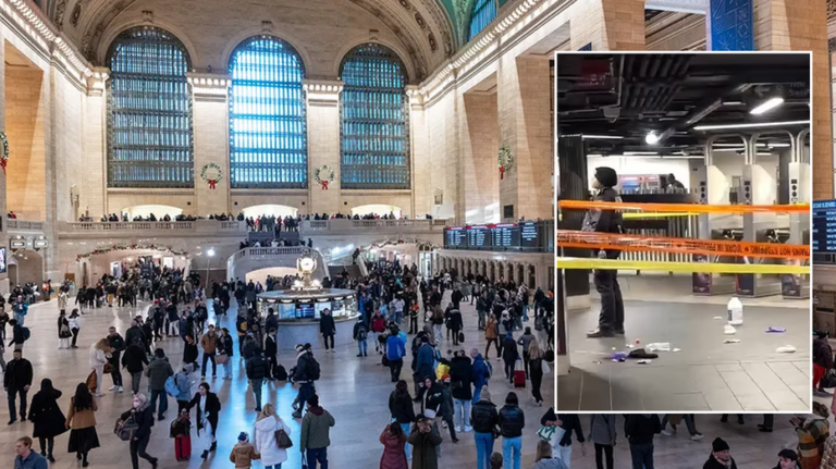 NYC Grand Central Christmas slashing suspect cries out to mother during court appearance