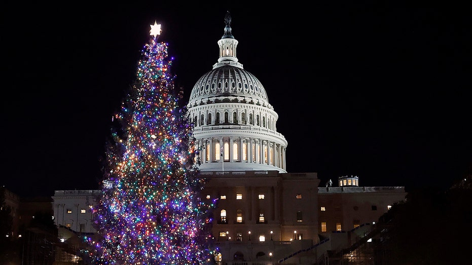 Rockin’ around the congressional Christmas tree