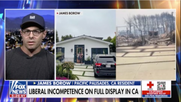 LA failed residents to a 'catastrophic degree': California man whose house burned in wildfires