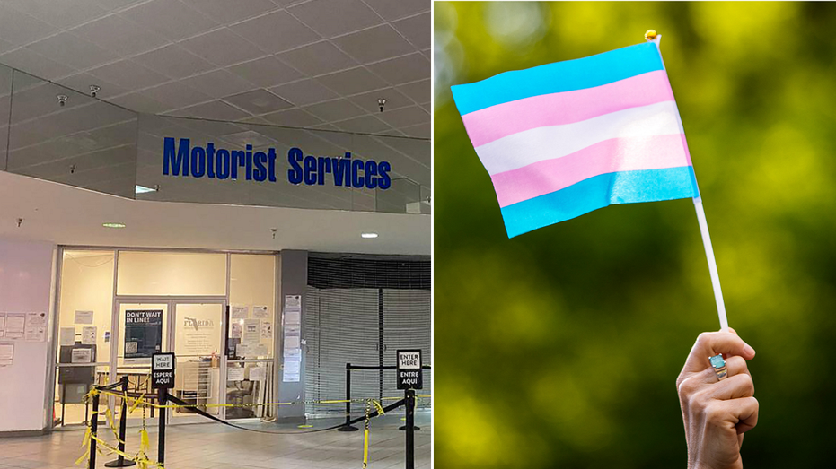 Florida DMV cancels trans TikToker's driver's license after possibly violating law changing gender label