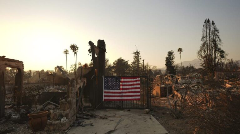 DAVID MARCUS: California could learn a lot from Florida when it comes to looters