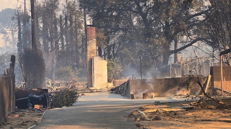 California wildfires: Single mom who lost everything in Eaton Fire hails Altadena’s ‘tenacity’ and ‘spirit’