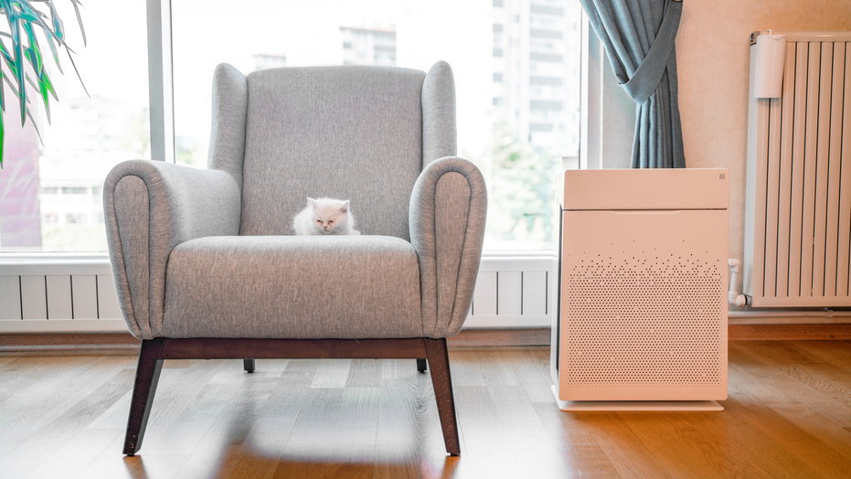 Improve your indoor air quality with the help of these 9 products