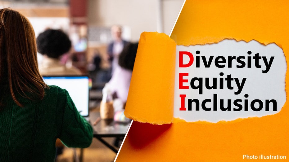 Diversity, equity, inclusion course mandates cost taxpayers nearly $2 billion nationwide: study