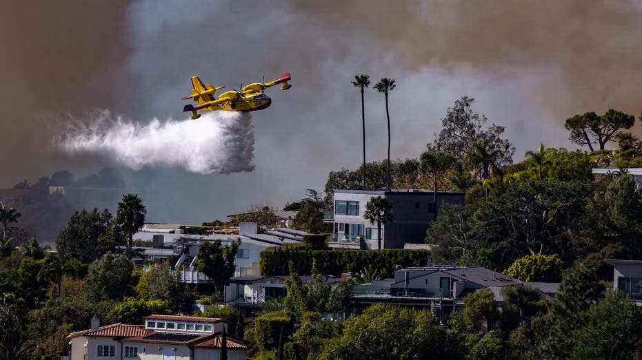 Los Angeles wildfires: Firefighting plane grounded for 3 days after drone strike causes 'fist-sized hole'