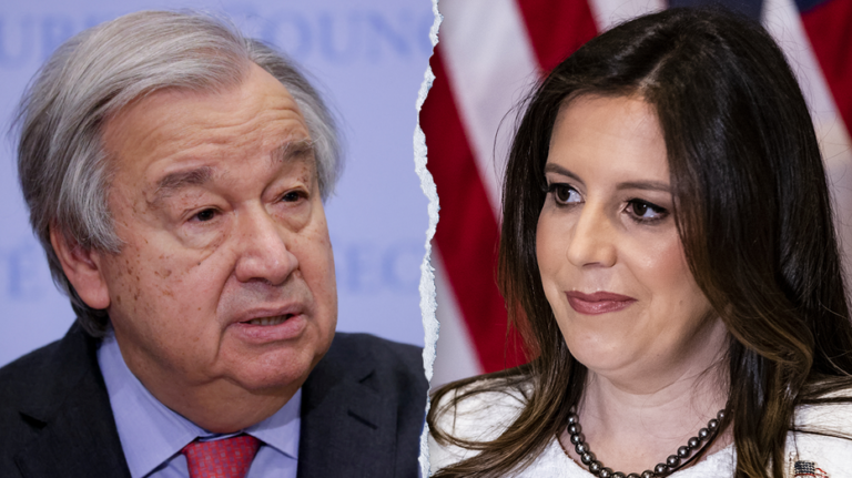 Trump's UN ambassador pick Elise Stefanik could save taxpayers millions if taps Musk-Ramaswamy 'DOGE'