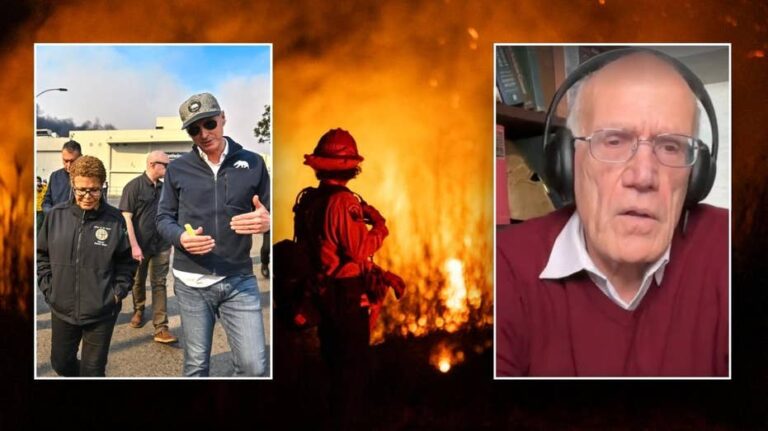 'Woke green hydrogen bomb': Historian blasts California leaders for 'nonsensical' wildfire response