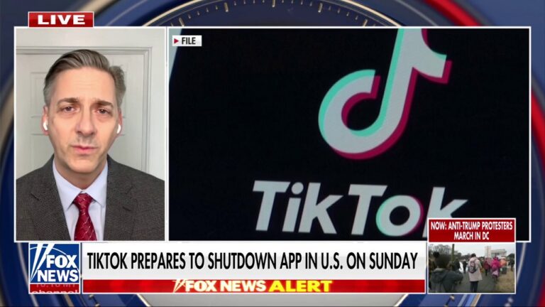 Tech expert says there is a lack of ‘credible evidence’ that TikTok is spying on Americans