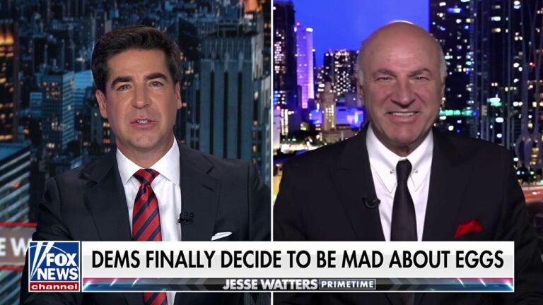 AOC is proof 'inside every socialist is a capitalist screaming to get out,' Kevin O'Leary says