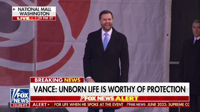 Vice President JD Vance: I want more babies in the USA