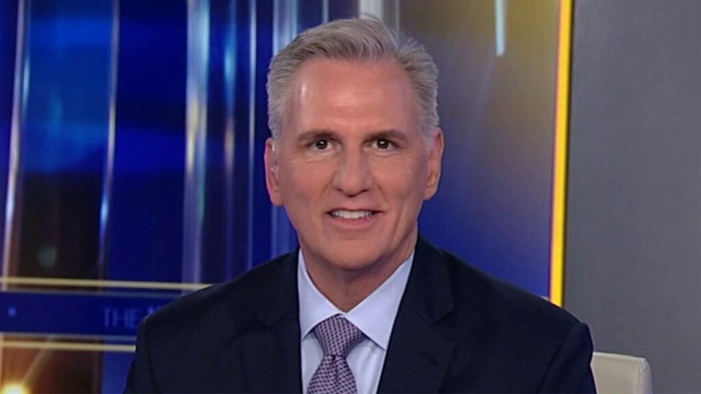 Kevin McCarthy says Democrats are 'so out of touch'