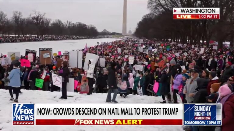 Crowds gather at the National Mall to protest Trump