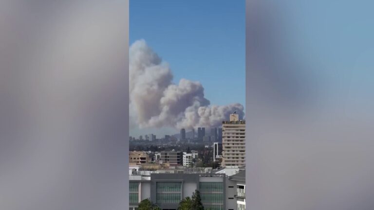 WATCH: Smoke visible against Los Angeles skyline