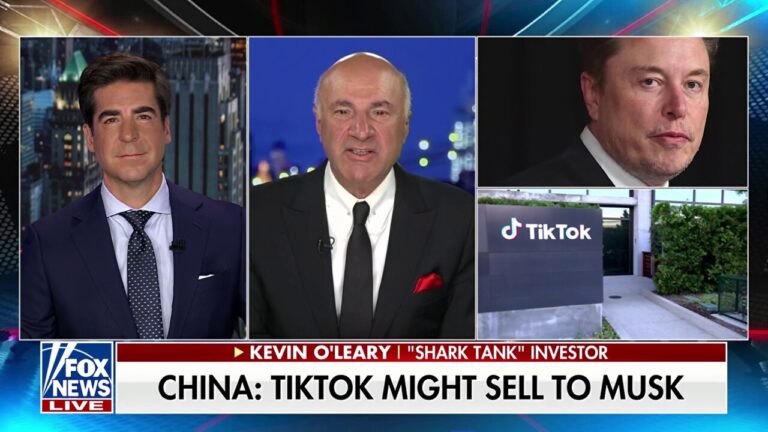 TikTok is 'Trump's deal,' says Kevin O'Leary