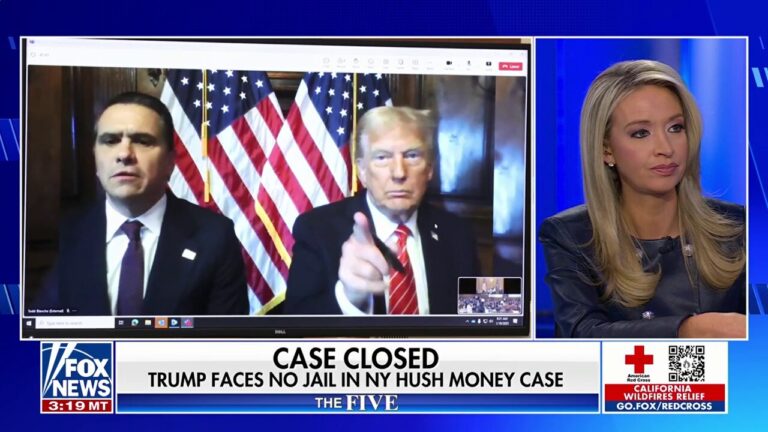 Trump’s sentencing was the ‘final nail in the coffin,’ Kayleigh McEnany says