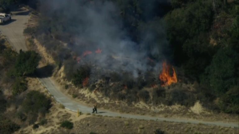 Los Angeles firefighters put out brush fire in Griffith Park