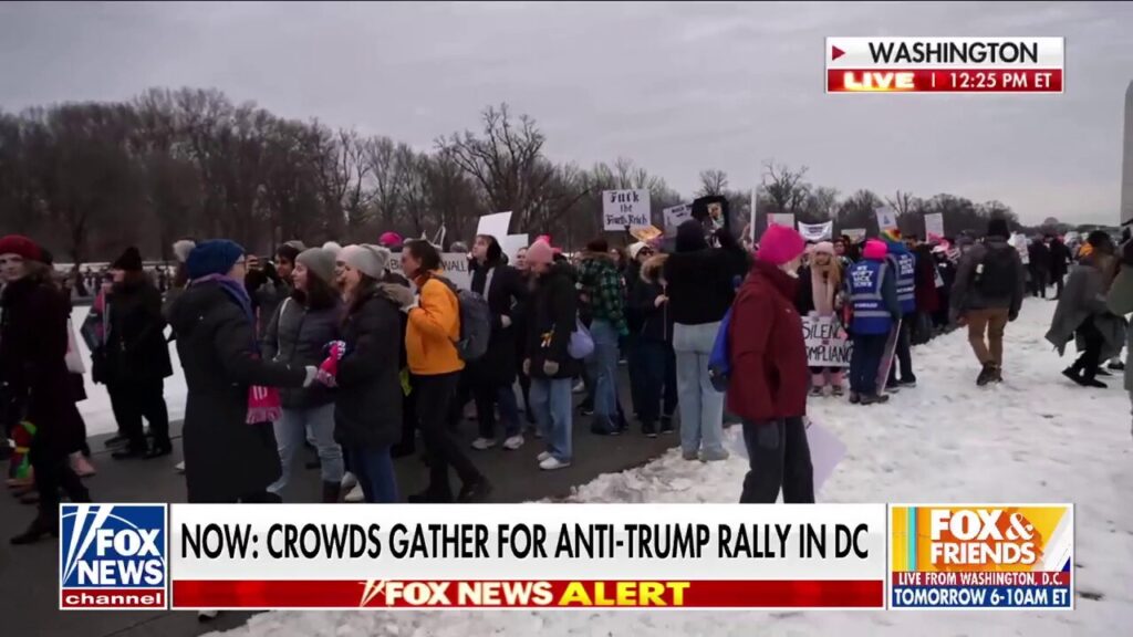 Crowds gather for anti-Trump rally in Washington, DC