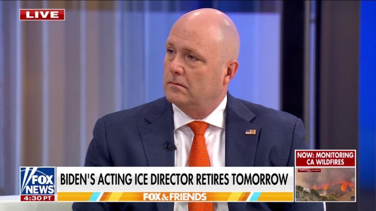 Retiring acting ICE head says Biden's border order should have come 'earlier'