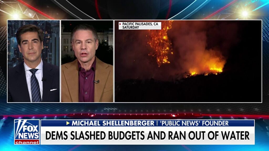 California leadership 'demoralized' firefighters, Michael Shellenberger says