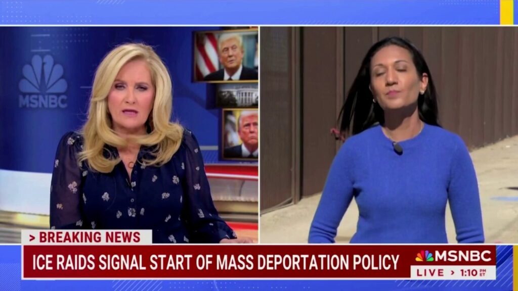 MSNBC anchor corrects correspondent on illegal immigrant reporting: 'We call them undocumented'