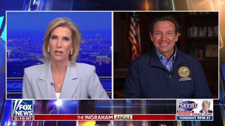 Border crisis will be ‘put to bed once and for all’ under Trump, Gov. DeSantis says