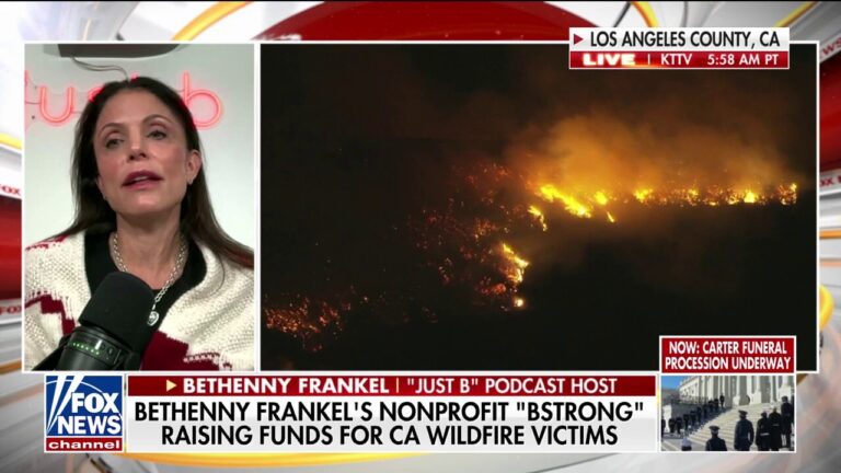 Bethenny Frankel's charity raising money for California wildfire victims