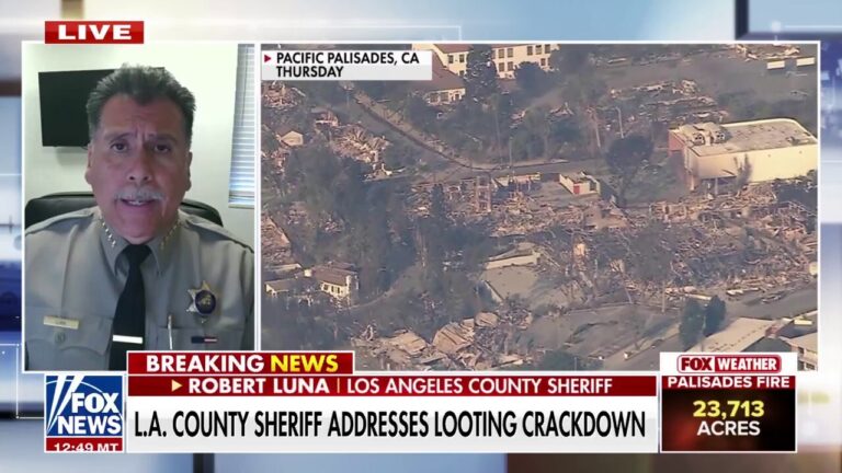 LA County sheriff 'very confident' looters will be punished