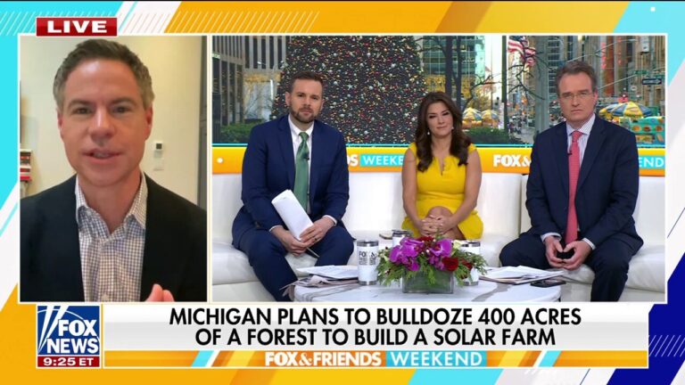 Michigan bulldozing state forest to install solar farm