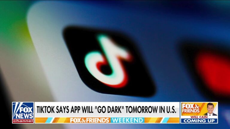 TikTok CEO reacts to ban, says app wants to ‘protect’ free speech for Americans