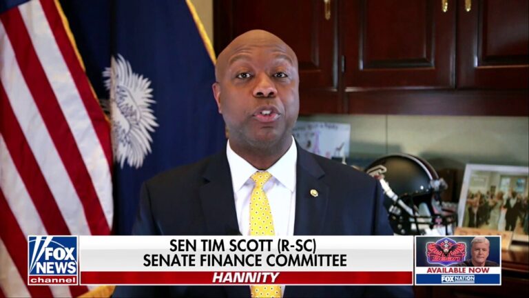 Mayorkas should have ‘resigned’: Sen. Tim Scott