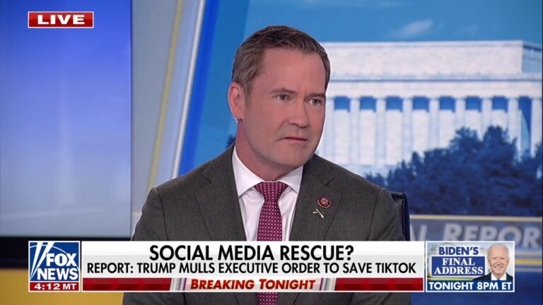 Trump admin will find a way to 'preserve' TikTok, Mike Waltz says