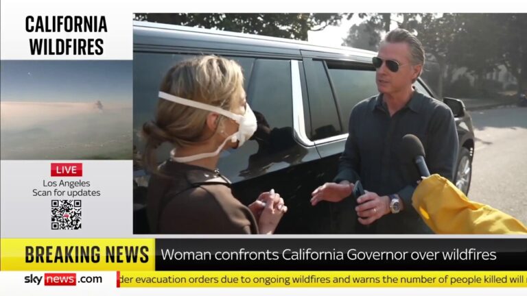 Gov. Newsom confronted by LA resident about wildfire response