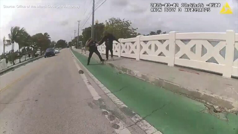 Frantic body camera footage shows the moment a Miami Beach police officer is shot by another officer