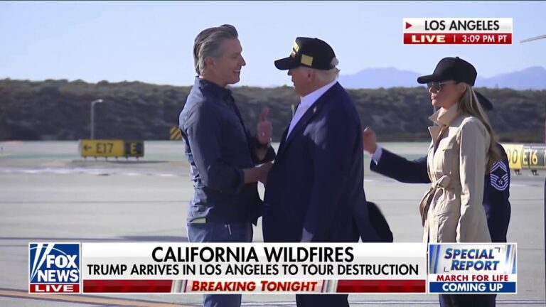 Trump and Newsom pledge cooperation as they meet for California wildfire tour