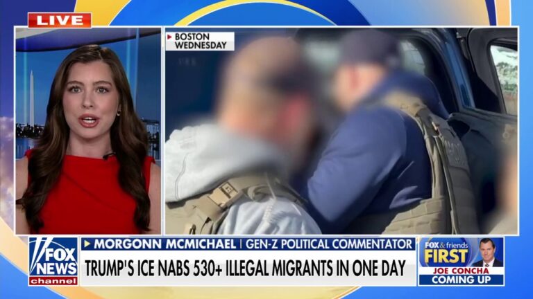 ICE arrests more than 530 migrants in one day amid Trump's crackdown